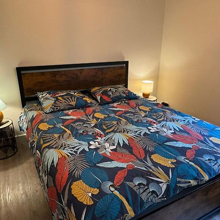 Residence Bois Du Bouchet, Appartement Vue Montagne, Calme, Parking Gratuit, Proche Centre Chamonix Bagian luar foto