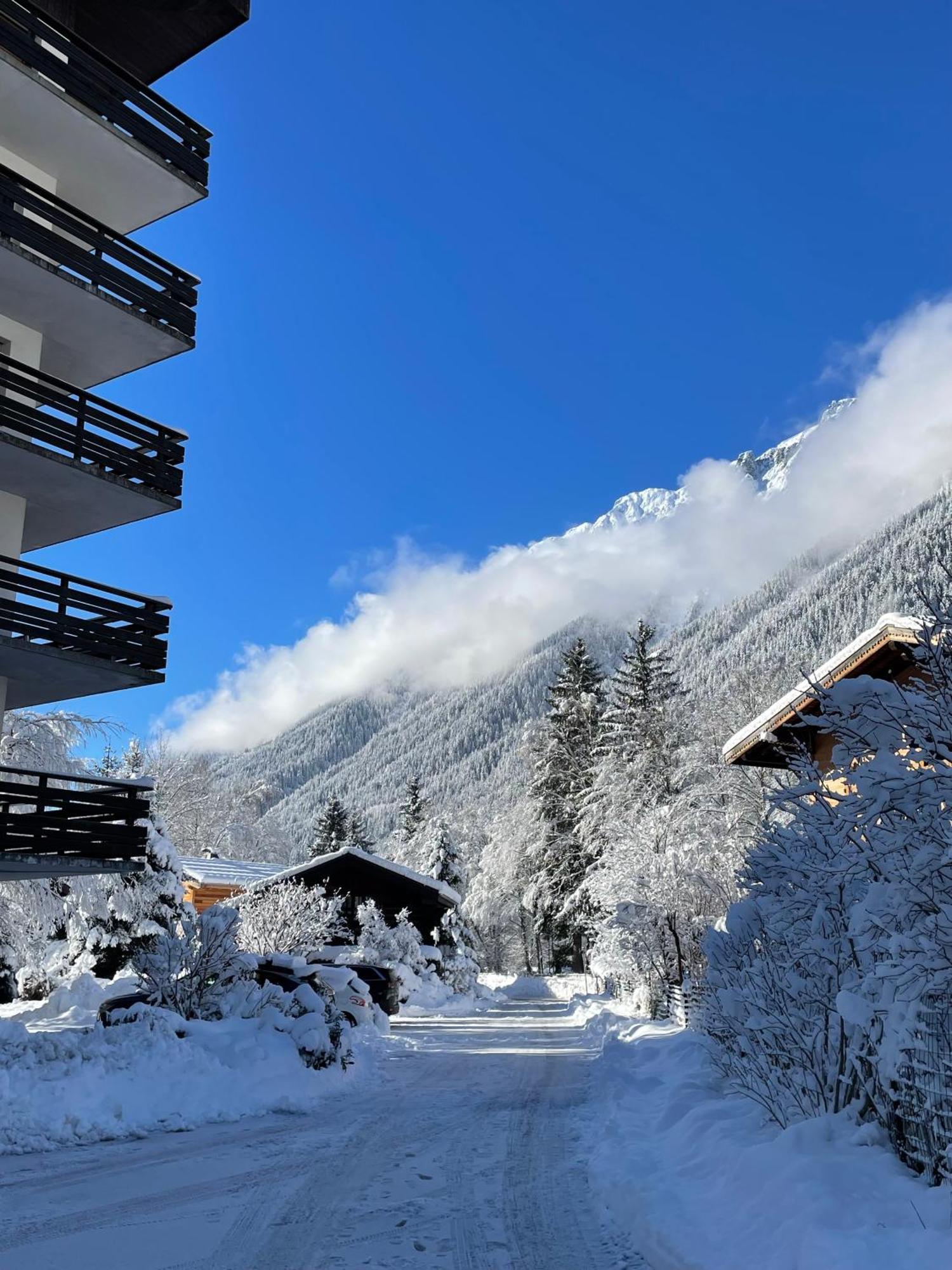 Residence Bois Du Bouchet, Appartement Vue Montagne, Calme, Parking Gratuit, Proche Centre Chamonix Bagian luar foto