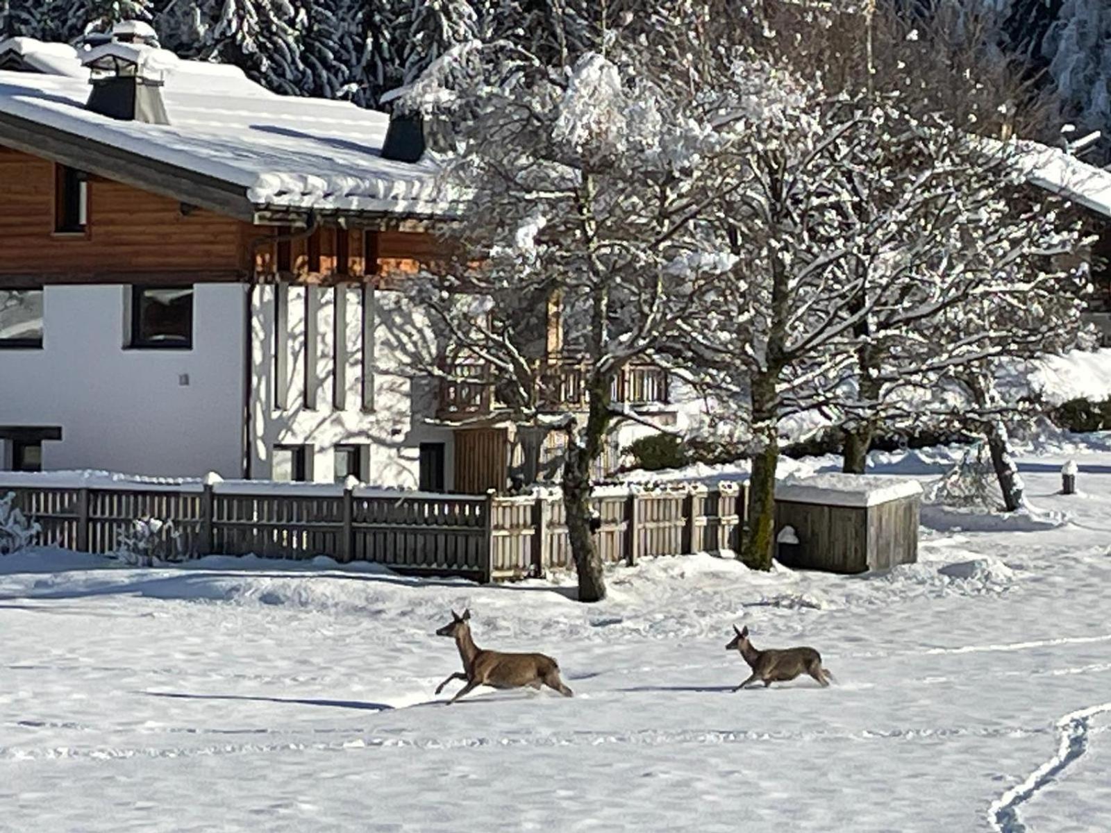 Residence Bois Du Bouchet, Appartement Vue Montagne, Calme, Parking Gratuit, Proche Centre Chamonix Bagian luar foto