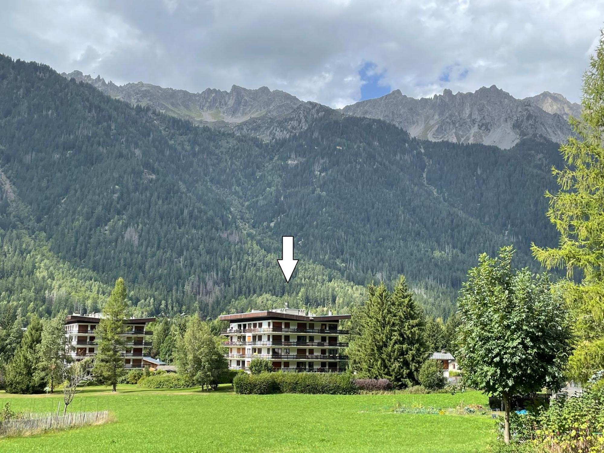 Residence Bois Du Bouchet, Appartement Vue Montagne, Calme, Parking Gratuit, Proche Centre Chamonix Bagian luar foto