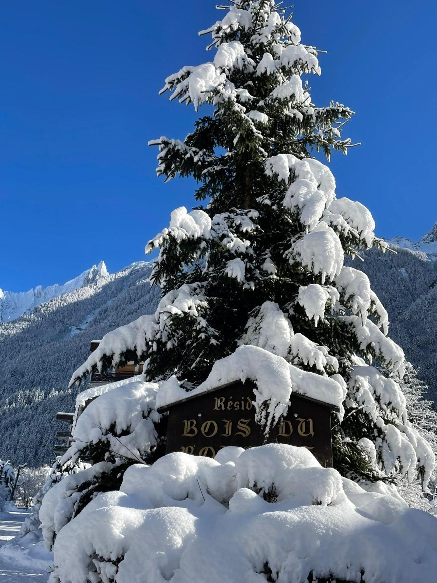 Residence Bois Du Bouchet, Appartement Vue Montagne, Calme, Parking Gratuit, Proche Centre Chamonix Bagian luar foto