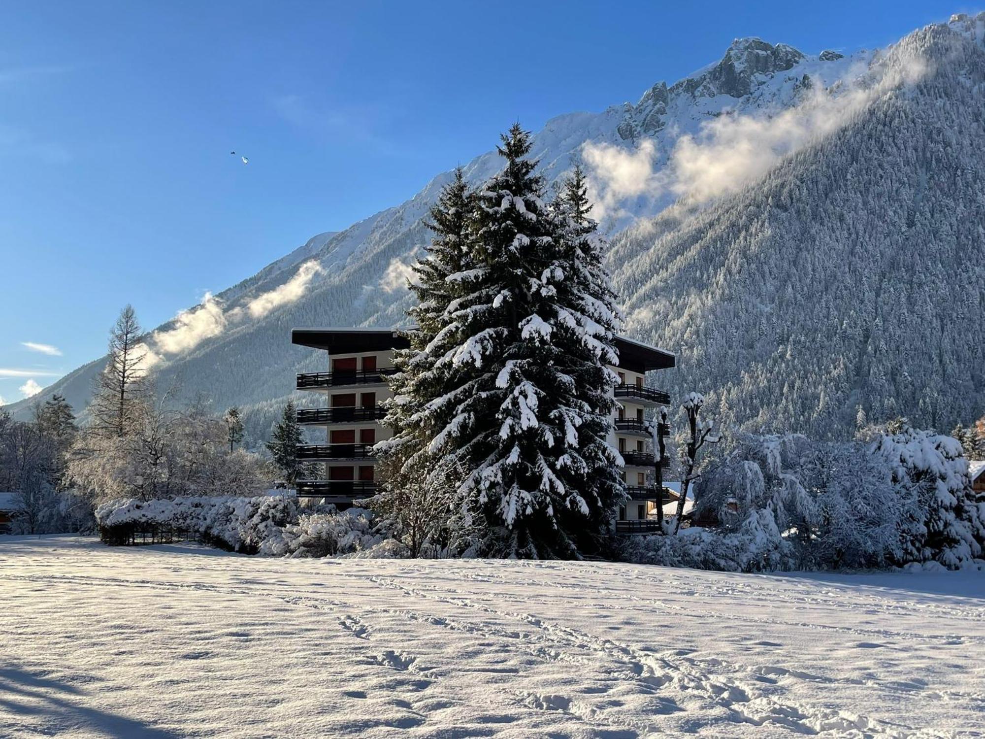 Residence Bois Du Bouchet, Appartement Vue Montagne, Calme, Parking Gratuit, Proche Centre Chamonix Bagian luar foto